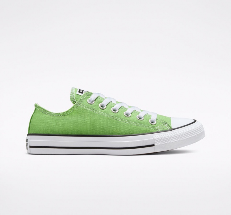 Converse Chuck Taylor All Star Seasonal Color Virtual Matcha  | JCQ-8757554