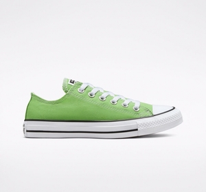 Converse Chuck Taylor All Star Seasonal Color Virtual Matcha  | ENJ-7258584