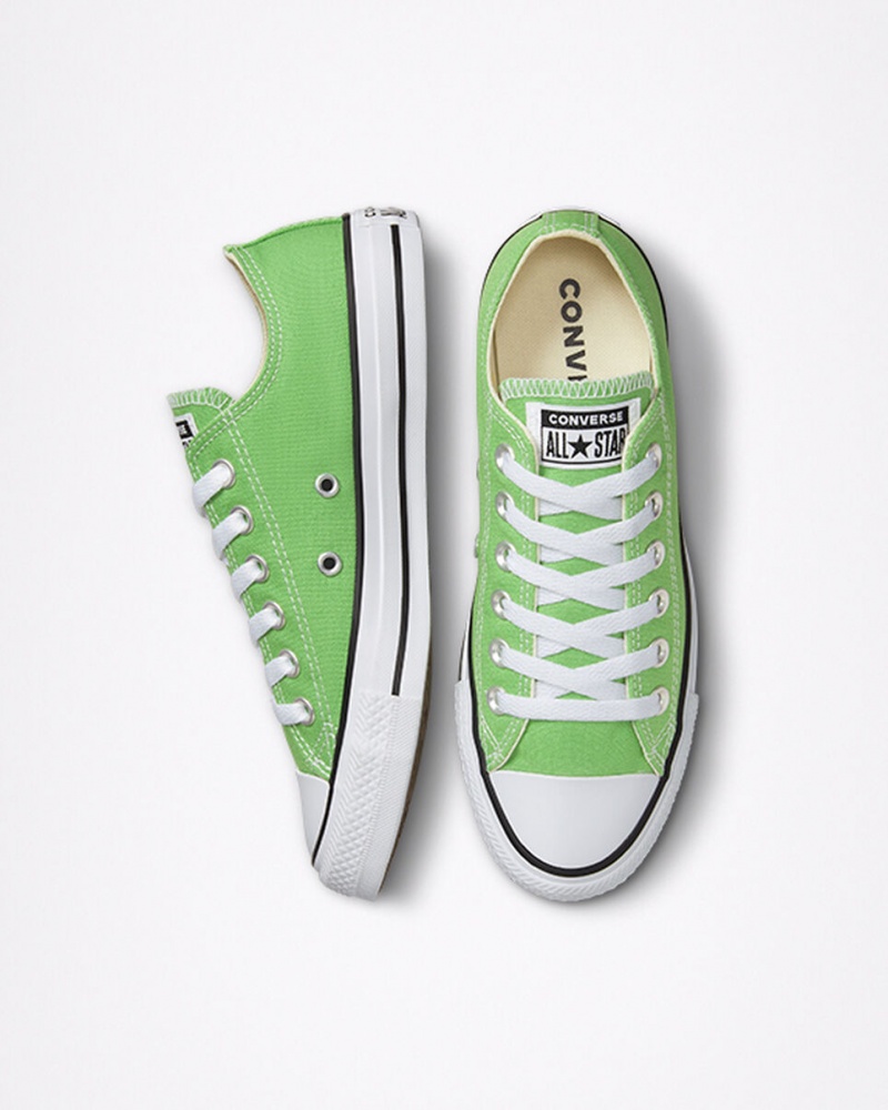 Converse Chuck Taylor All Star Seasonal Color Virtual Matcha  | JCQ-8757554