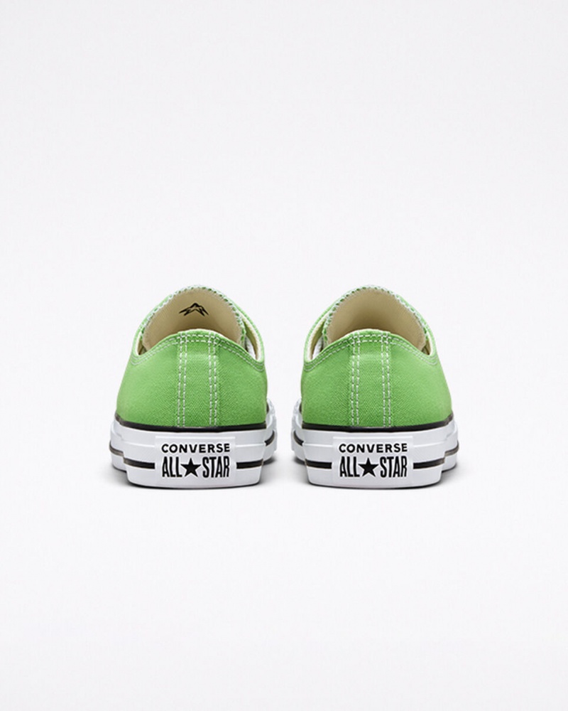 Converse Chuck Taylor All Star Seasonal Color Virtual Matcha  | JCQ-8757554