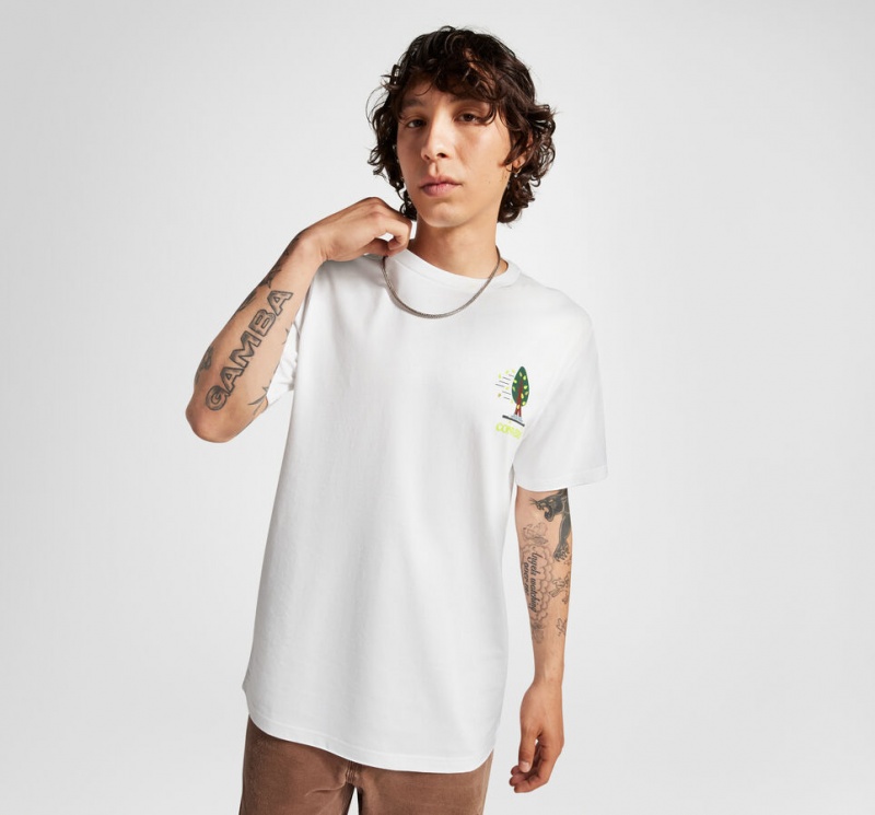 Converse All Star Tree T-shirt Blanche  | WHP-6315831