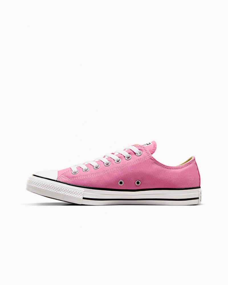 Converse Chuck Taylor All Star Rose  | JAE-9030426